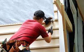 Best Custom Siding Design  in Holland, MI